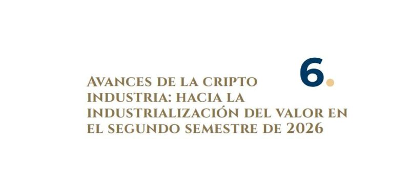 Artículo 6